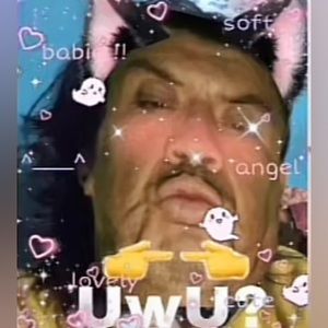 Meet your Posher, Llama